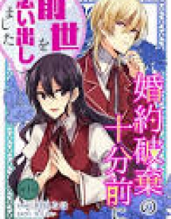 Konyaku Haki no Juubun Mae ni, Zense wo Omoidashimashita